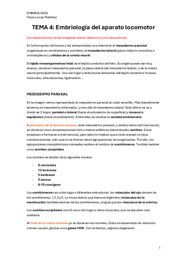 Miniatura del documento TEMA-4.-Embriologia-del-aparato-locomotor.pdf