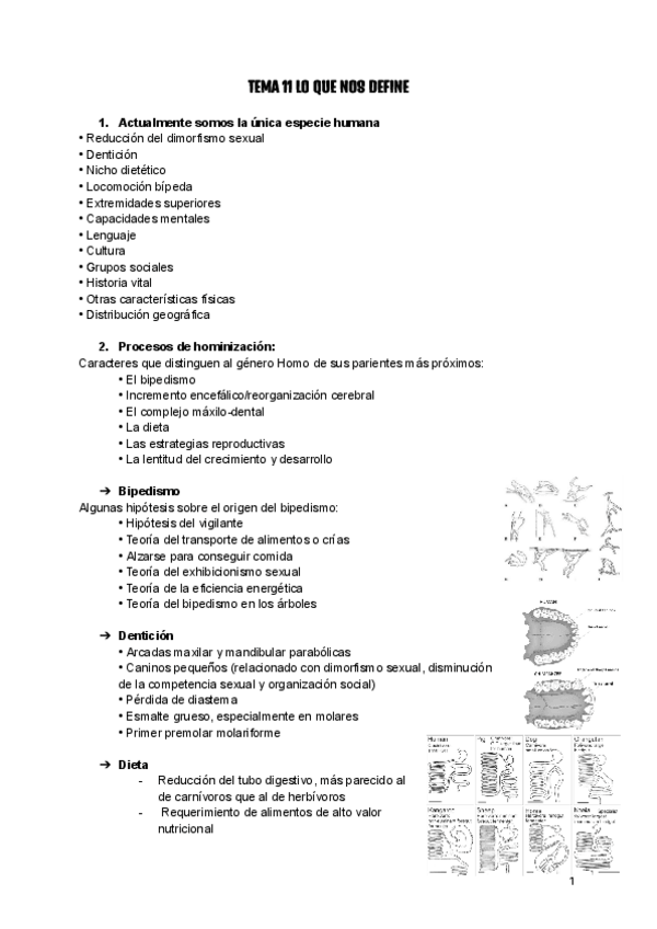 Miniatura del documento Antro-2o-parcial.pdf