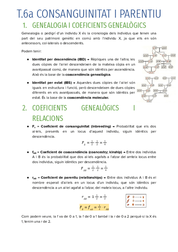 Miniatura del documento T.6a-CONSANGUINITAT-I-PARENTIU.pdf