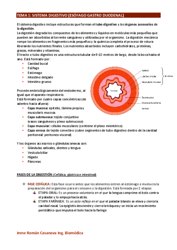 Miniatura del documento S.-DIGESTIVO.pdf