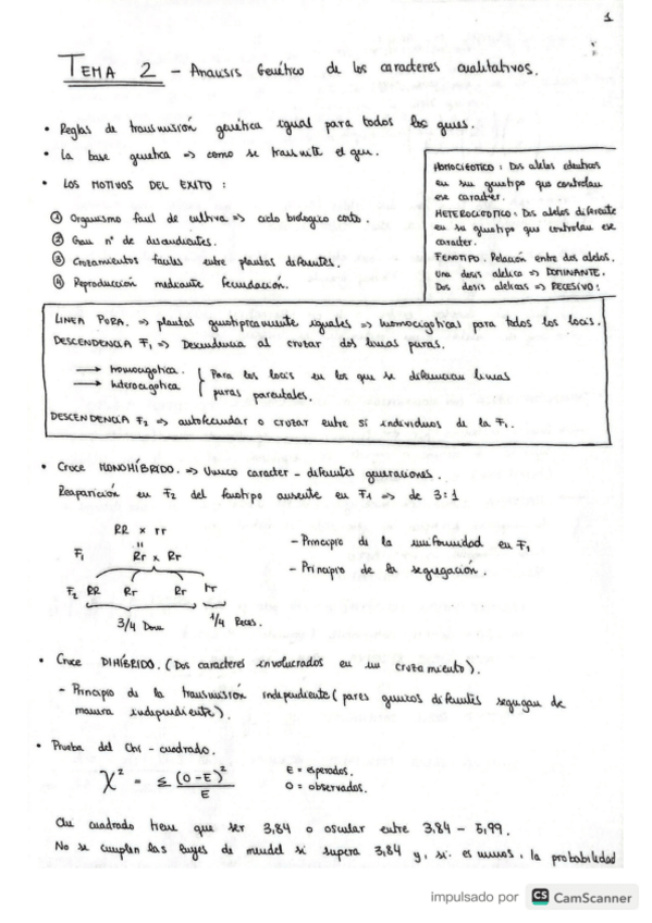 Miniatura del documento Apuntes-y-ejercicios-Genetica.pdf