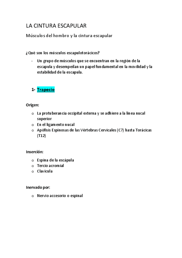 Miniatura del documento Cintura-escapular-musculatura.pdf