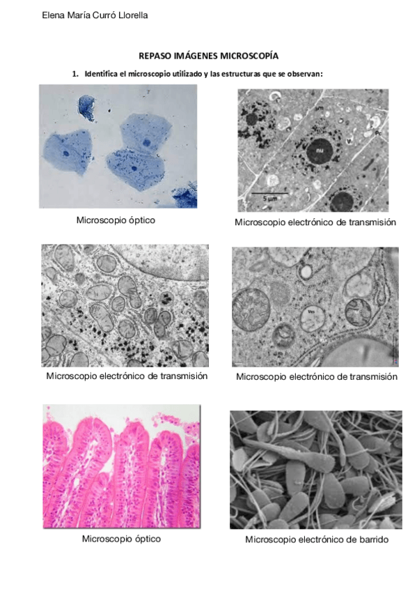Miniatura del documento REPASO-IMAGENES-Elena-Curro.pdf