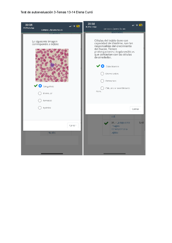 Miniatura del documento Test-3.-Temas-13-14-Elena-Curro.pdf
