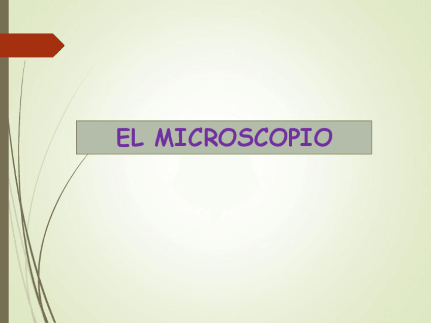 Miniatura del documento 8.-El-microscopio-optico.-Visualizacion-de-celulas-vegetales-y-animales1-1.pdf