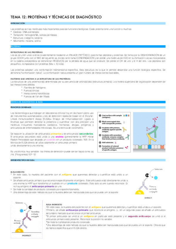 Miniatura del documento TEMA-12.pdf