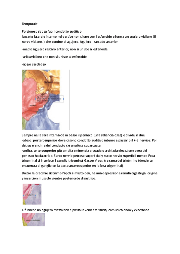 Miniatura del documento Temporale-y-otros.pdf