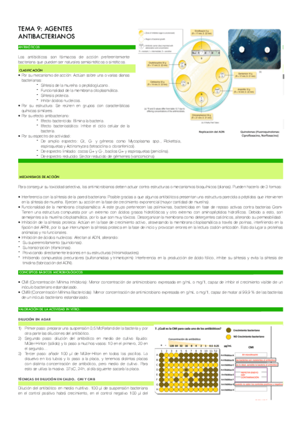 Miniatura del documento TEMA-9.pdf