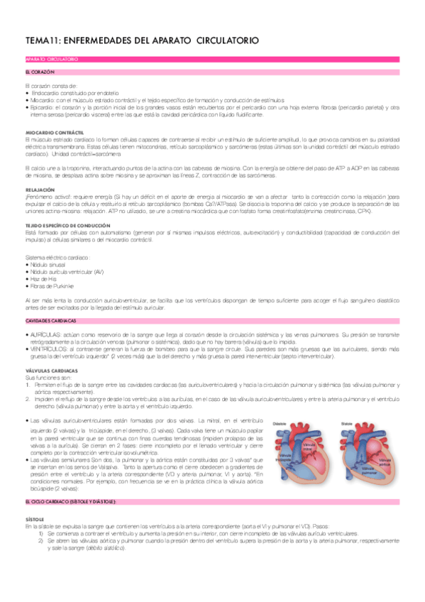 Miniatura del documento TEMA-11.pdf