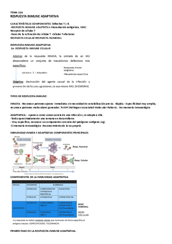 Miniatura del documento TEMA-11A-22.pdf