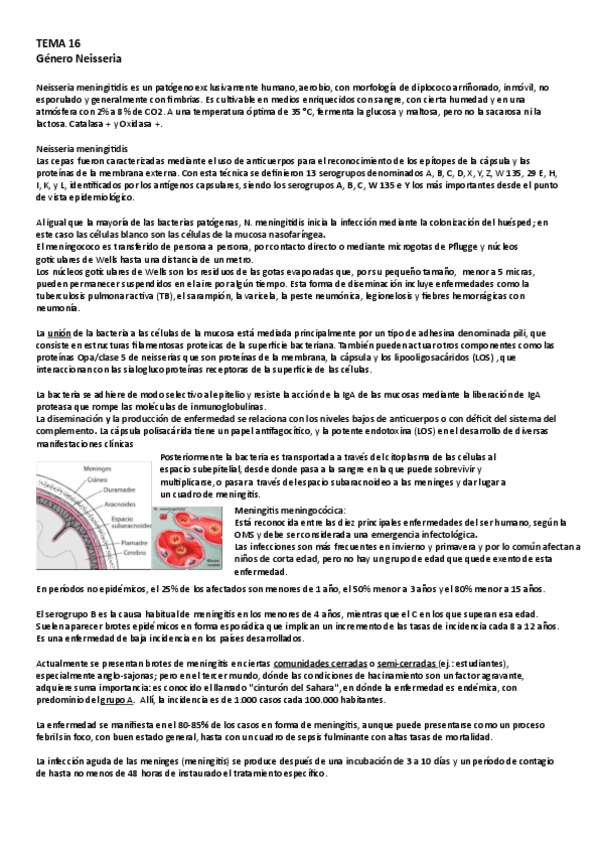 Miniatura del documento TEMA-16-y-19.pdf