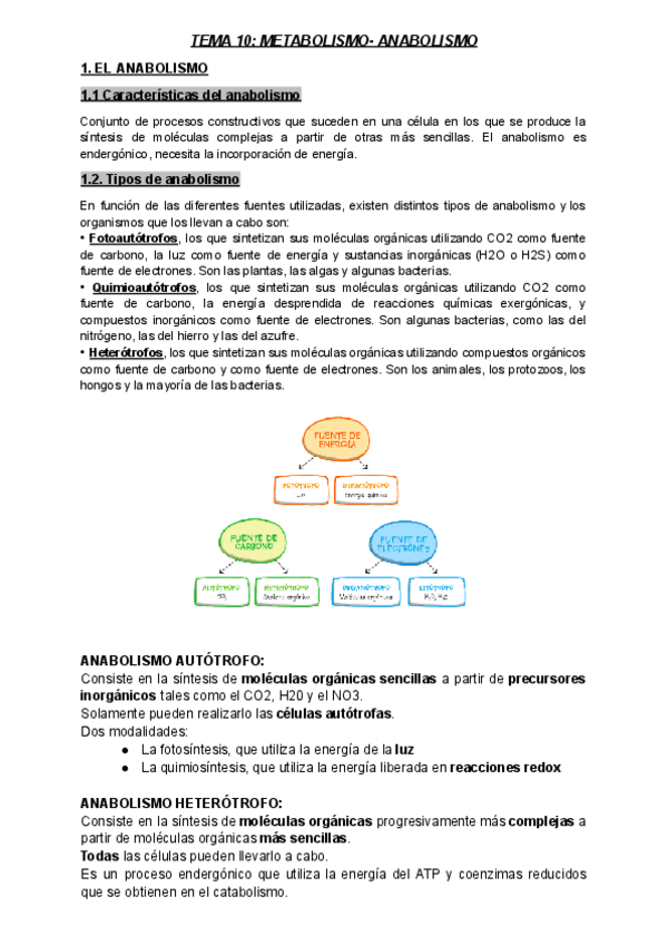 Miniatura del documento BIOLOGIA-TEMA-10-METABOLISMO-ANABOLISMO.pdf
