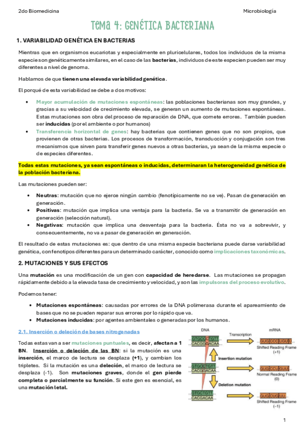 Miniatura del documento T4-Genetica-bacteriana.pdf