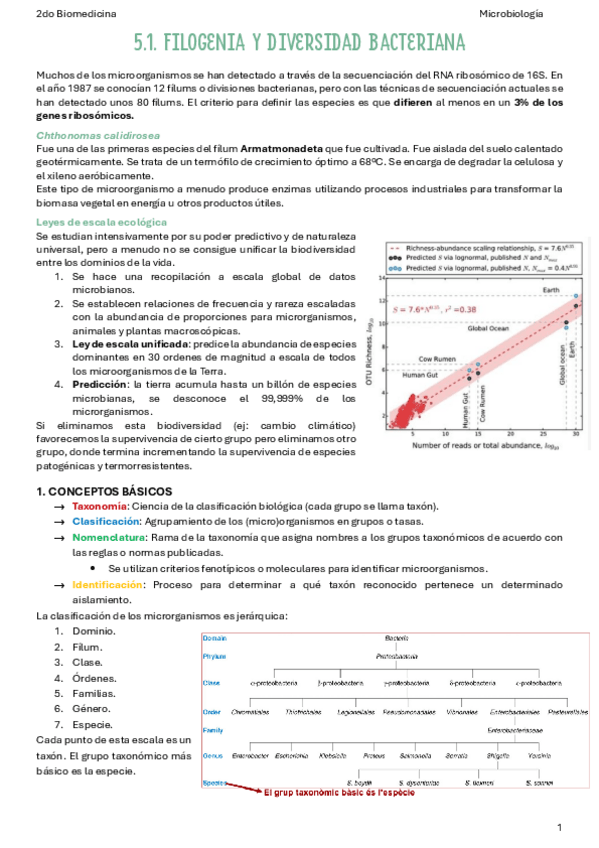 Miniatura del documento T5.1-Filogenia-y-diversidad-bacteriana.pdf