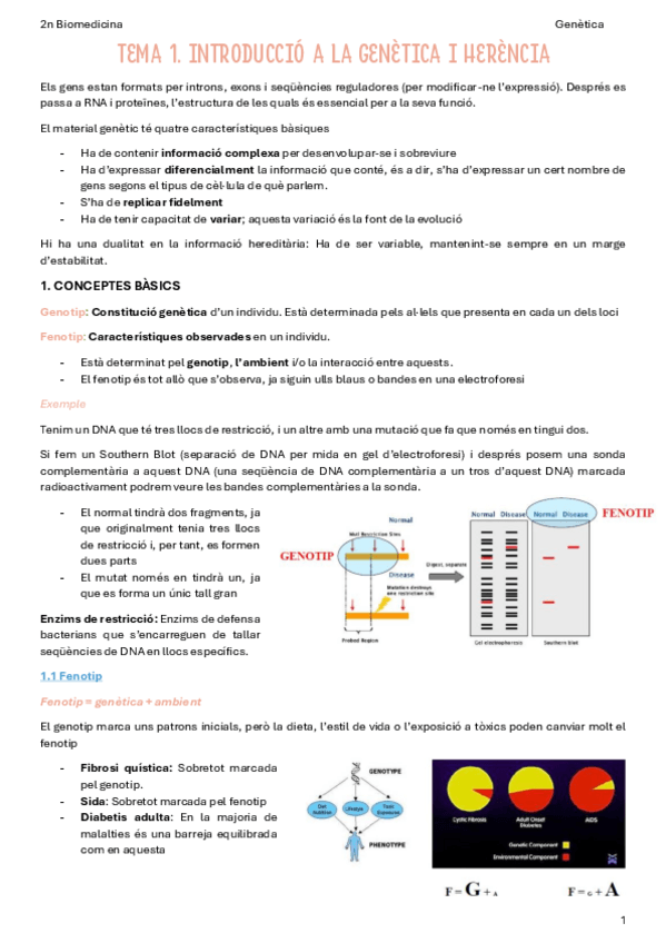 Miniatura del documento T1-Introduccio-a-la-genetica-i-herencia.pdf