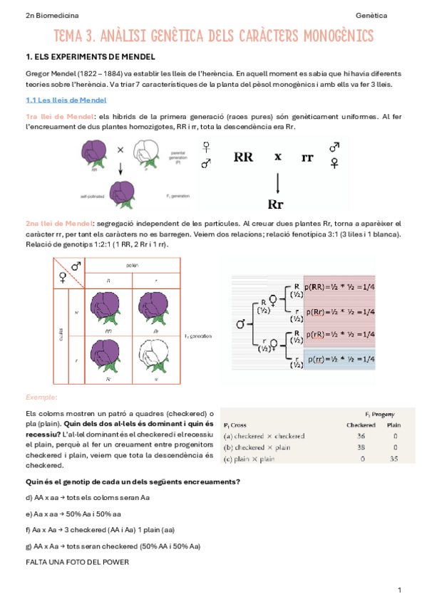 Miniatura del documento T3-Analisi-genetica-dels-caracters-monogenics.pdf