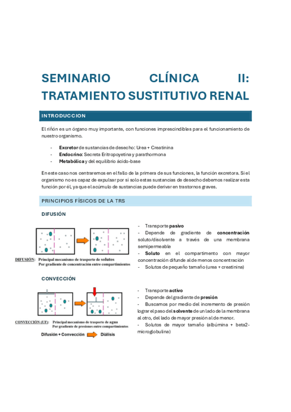 Miniatura del documento Seminario-Dialisis-Clinica-II.pdf