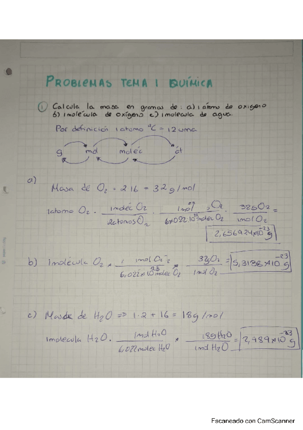 Miniatura del documento Boletin-Tema-1-Quimica.pdf