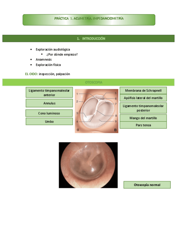 Miniatura del documento PRACTICA-1.pdf