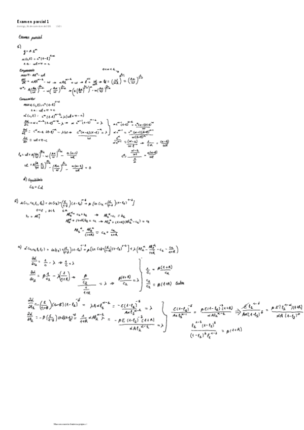 Miniatura del documento Examen-parcial-1.pdf