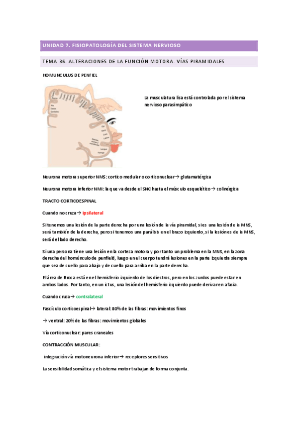 Miniatura del documento NERVIOSO-COMPLETO.pdf