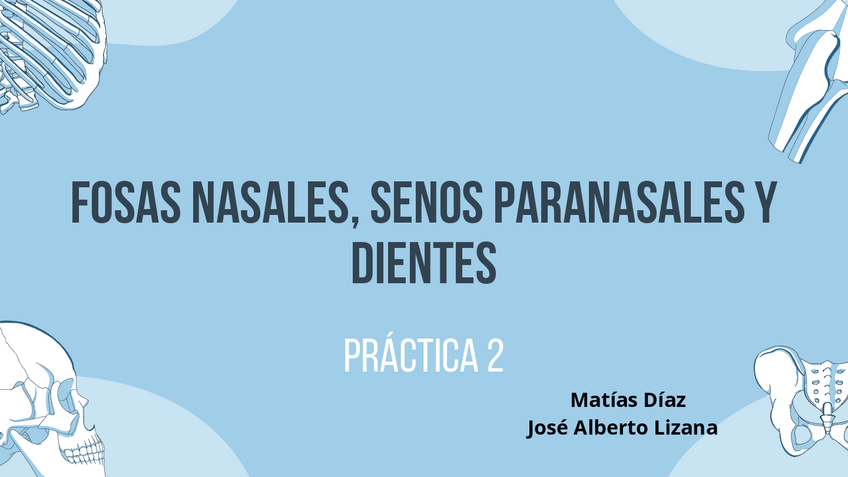 Miniatura del documento Práctica 2 - Fosas Nasales.pdf