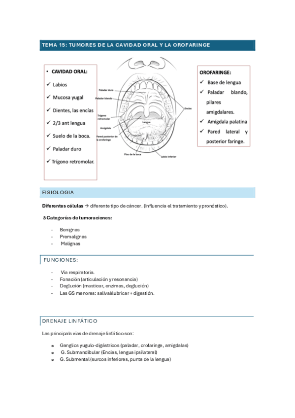 Miniatura del documento TEMA-15.pdf
