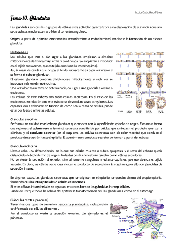 Miniatura del documento Tema-10-histo.pdf