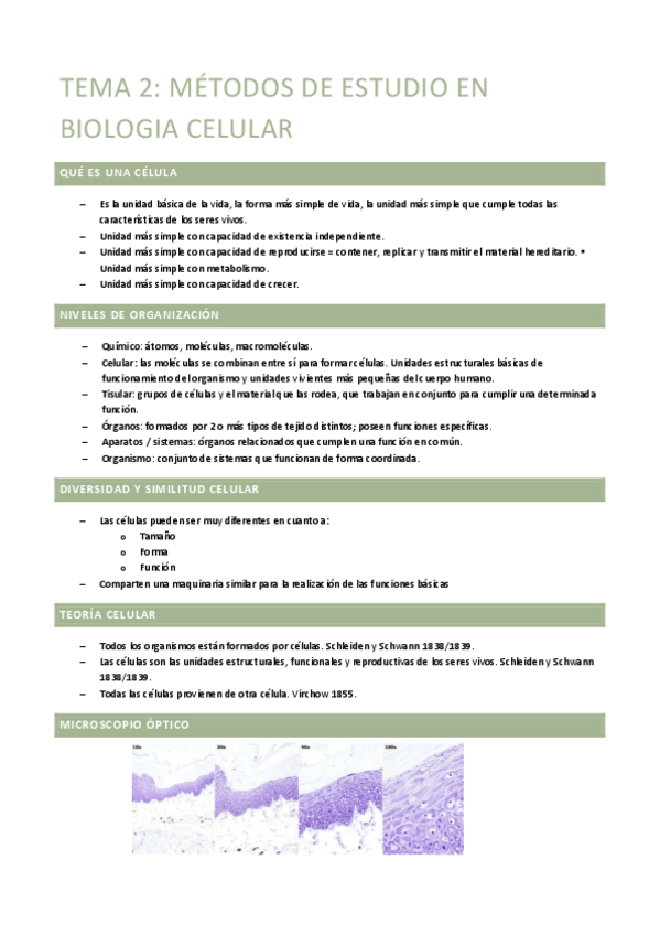 Miniatura del documento TEMA-2.pdf