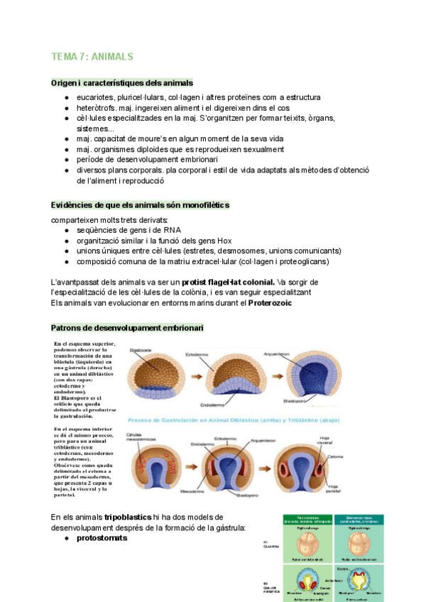 Miniatura del documento Resum bio general.pdf