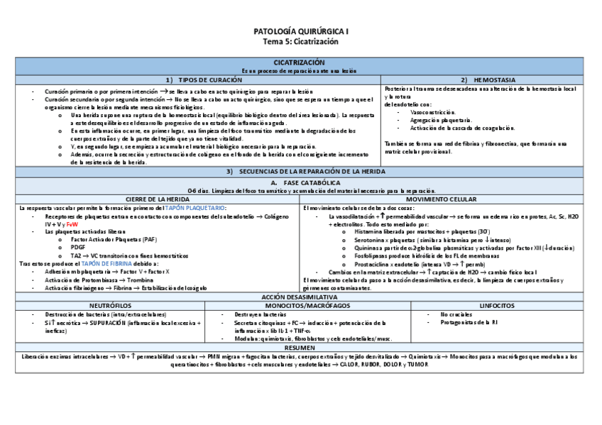 Miniatura del documento Tema-5-Cicatrizacion-TABLA.pdf