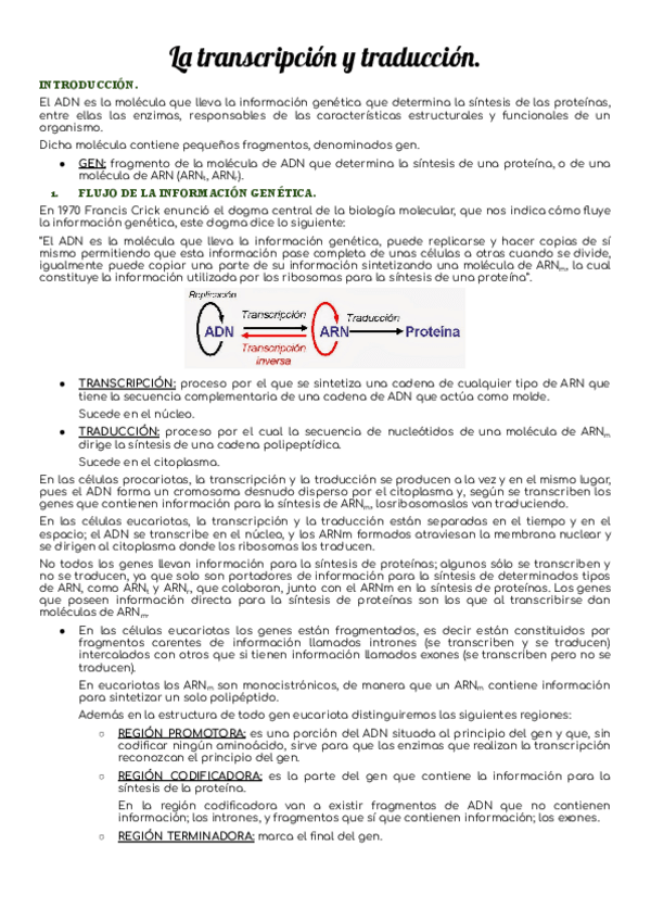 Miniatura del documento La-transcripcion-y-traduccion.pdf