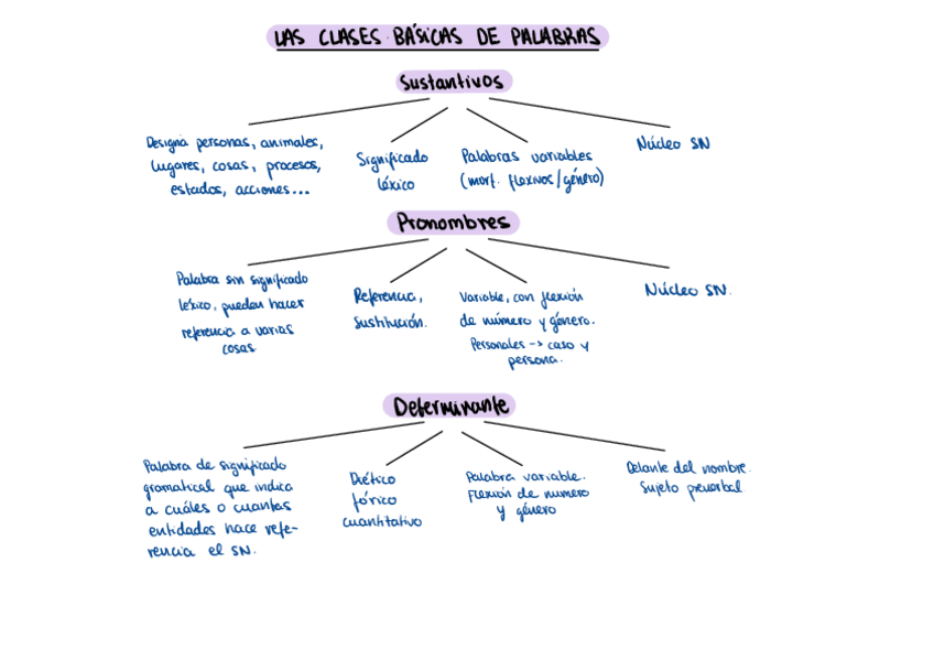 Miniatura del documento CLASES-DE-PALABRAS-ESQUEMA.pdf