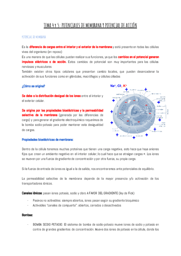 Miniatura del documento TEMA-4-y-5-POTENCIAL.pdf