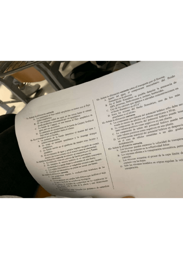 Miniatura del documento Bloque-I-2023-Parte-2.pdf