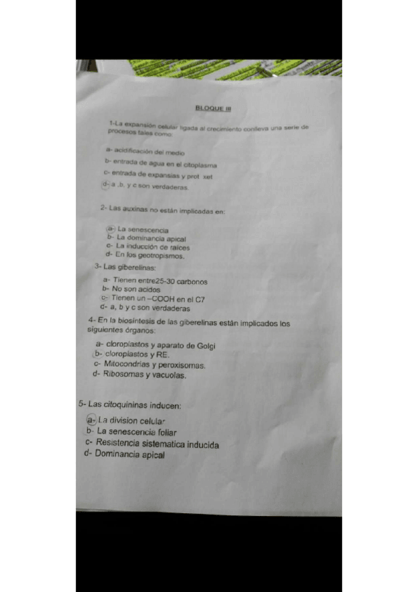 Miniatura del documento Bloque-III-1.pdf