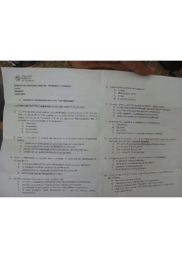 Miniatura del documento Bloque-IV-1.pdf