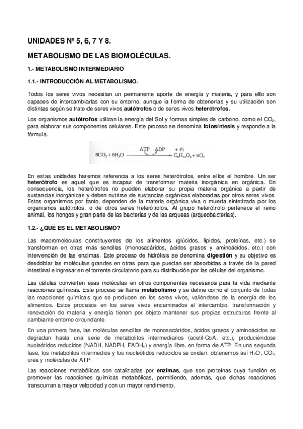 Miniatura del documento TEMA-4-METABOLISMO-INTERMEDIARIO.pdf
