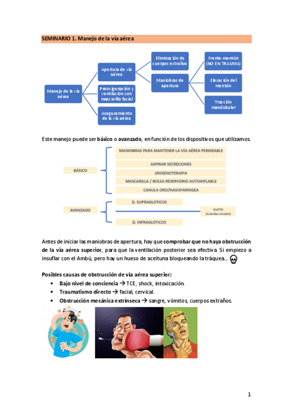 Miniatura del documento SEMINARIO-1.-ViaAerea.pdf