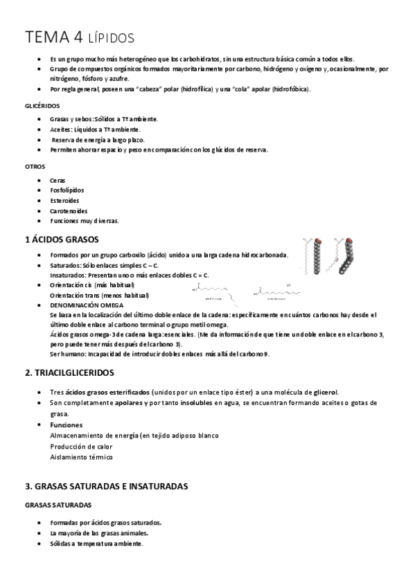 Miniatura del documento TEMA-4-BIOLOGIA.pdf