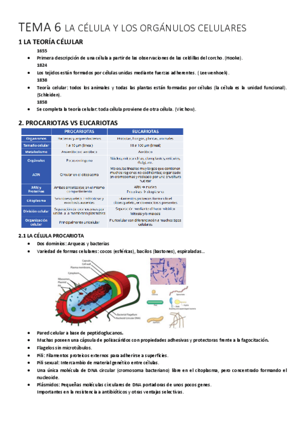 Miniatura del documento TEMA-6-BIOLOGIA.pdf