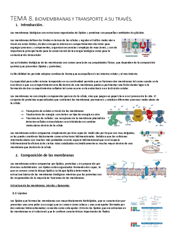 Miniatura del documento TEMA-8-BIOQUIMICA.pdf