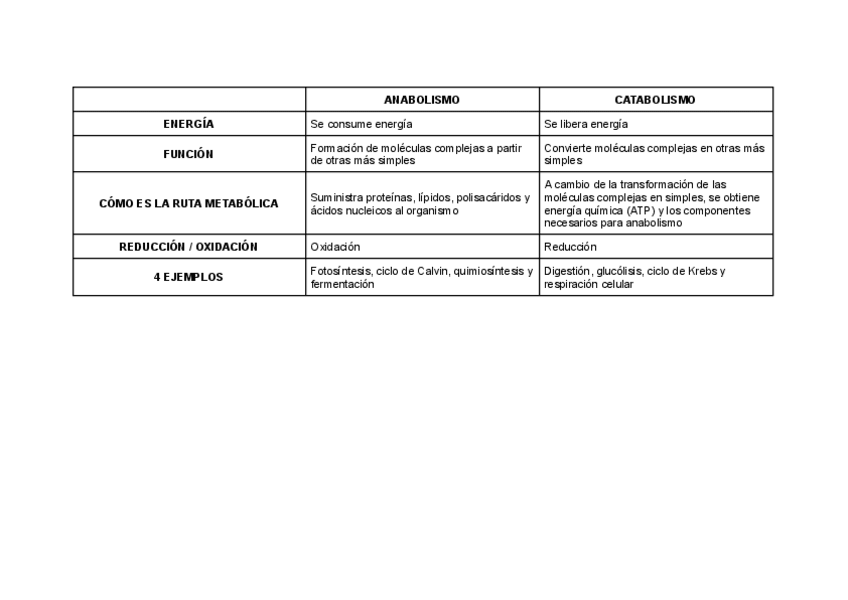 Miniatura del documento Tabla-catabolismo-anabolismo.pdf