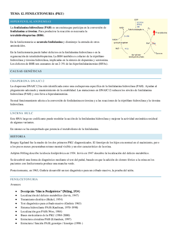 Miniatura del documento TEMA-12.pdf