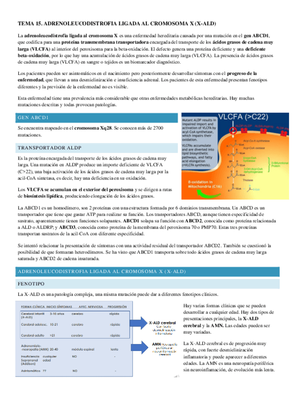 Miniatura del documento TEMA-15.pdf