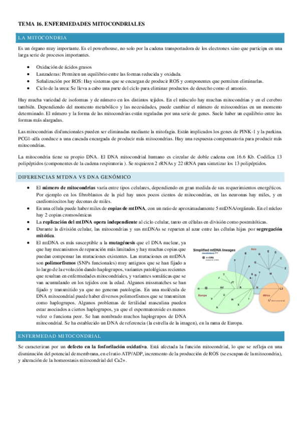 Miniatura del documento TEMA-16.pdf
