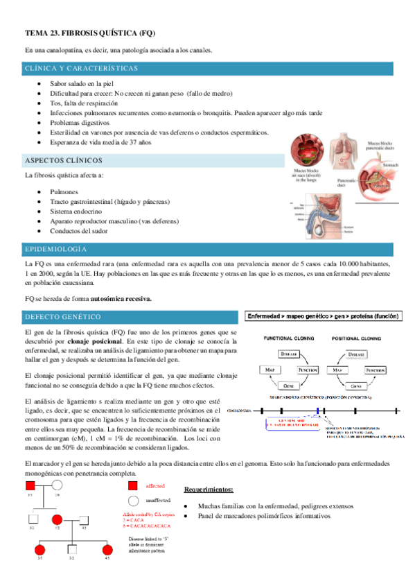 Miniatura del documento TEMA-23.pdf