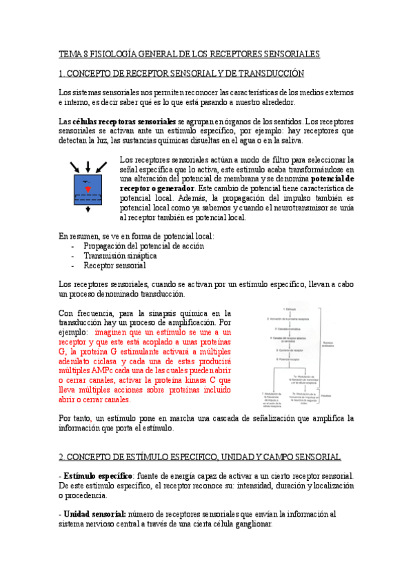 Miniatura del documento TEMA-8-FISIOLOGIA-ANIMAL-I.pdf
