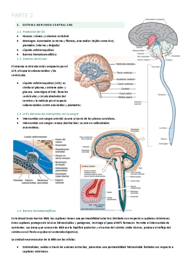 Miniatura del documento 3.2-Parte-2.pdf