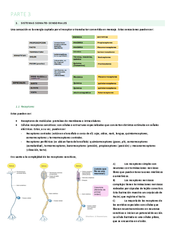 Miniatura del documento 3.3-Parte-3.pdf
